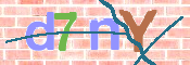 キャプチャ画像