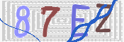 キャプチャ画像