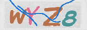 キャプチャ画像