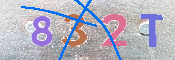 キャプチャ画像