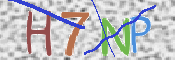 キャプチャ画像