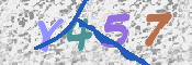 キャプチャ画像