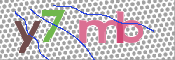 キャプチャ画像