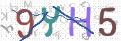 キャプチャ画像
