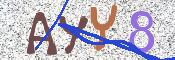 キャプチャ画像