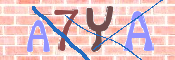 キャプチャ画像