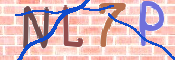 キャプチャ画像