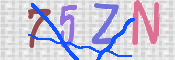 キャプチャ画像