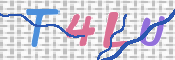 キャプチャ画像
