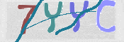 キャプチャ画像