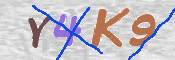 キャプチャ画像