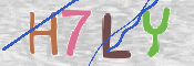 キャプチャ画像