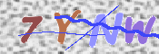 キャプチャ画像