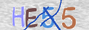キャプチャ画像