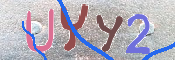 キャプチャ画像