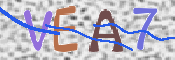 キャプチャ画像