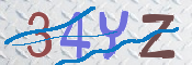 キャプチャ画像