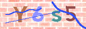 キャプチャ画像