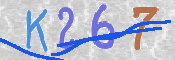 キャプチャ画像