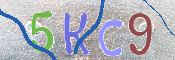 キャプチャ画像