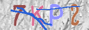 キャプチャ画像