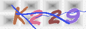 キャプチャ画像