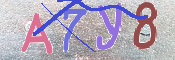 キャプチャ画像