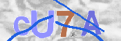 キャプチャ画像