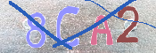 キャプチャ画像