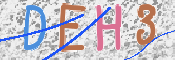 キャプチャ画像