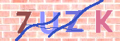 キャプチャ画像