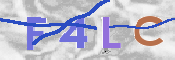 キャプチャ画像