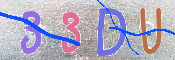 キャプチャ画像