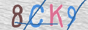 キャプチャ画像