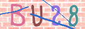 キャプチャ画像