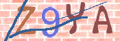 キャプチャ画像
