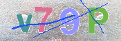 キャプチャ画像