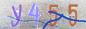 キャプチャ画像
