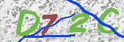 キャプチャ画像