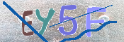 キャプチャ画像