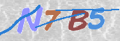 キャプチャ画像