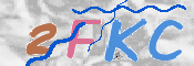 キャプチャ画像