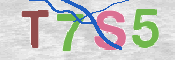 キャプチャ画像