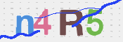 キャプチャ画像