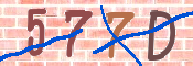 キャプチャ画像
