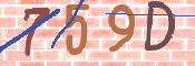 キャプチャ画像