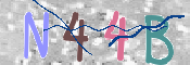 キャプチャ画像