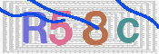 キャプチャ画像