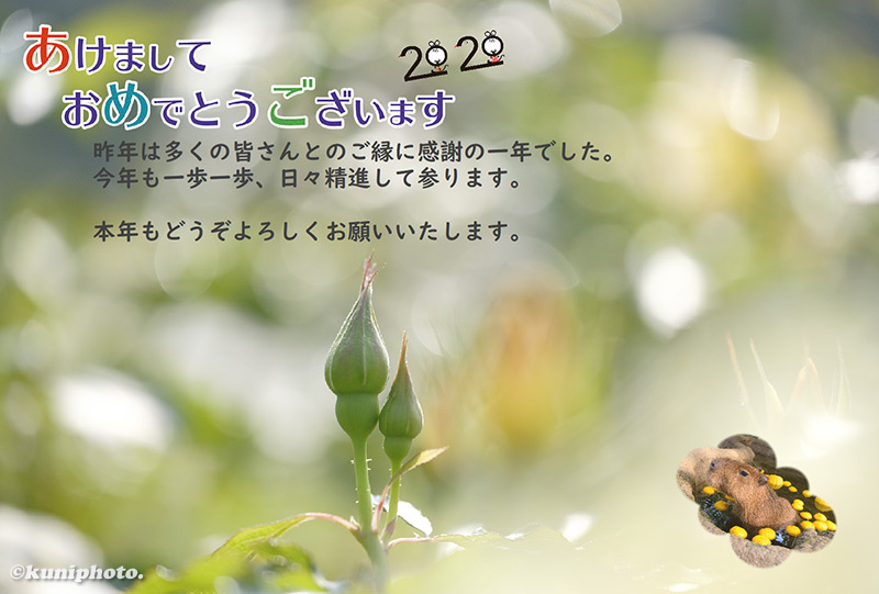 0101_blog_191030_wakazono_092_XH1